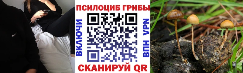 ссылка на мегу tor Нарткала Галлюциногенные грибы MAGIC MUSHROOMS