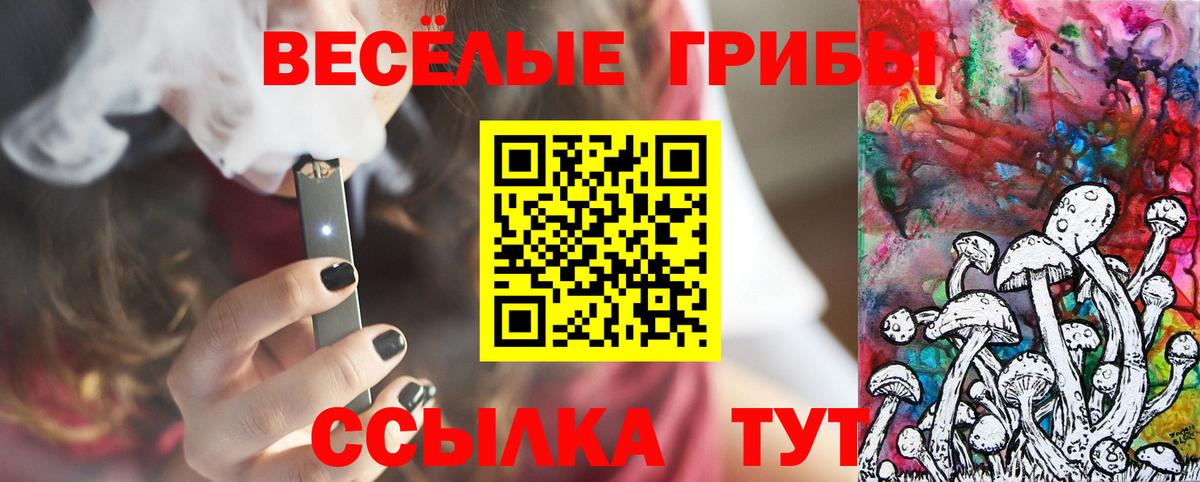 Псилоцибиновые грибы GOLDEN TEACHER Нарткала
