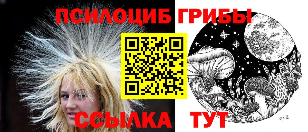 дарнет шоп  Вход с VPN  Галлюциногенные грибы Magic Shrooms  Нарткала  Псилоцибиновые грибы Psilocybe 